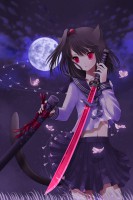 散桜夢解　（2008年10月作成）