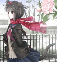 通学路の乙女椿　（2011年11月作成）