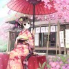 花見茶屋　（2014年3月作成）